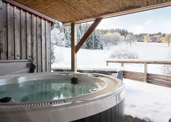 Prázdninový dům Poli Resort, Calme Et Haut-de-gamme Au Sommet Xonrupt-Longemer